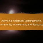 Upcycling Initiatives: Starting Points, Community Involvement and Resources